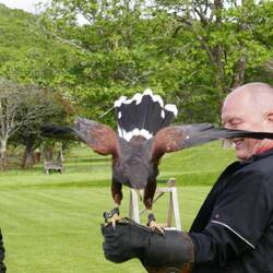 Sie kommt aber immer zurück