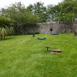 Der Adler Iman oben, die Falken Bella & Benny darunter und die kleine Eule Biscuit ganz vorne.