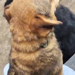 😜🥰🥰🥳🥳🥳🥳