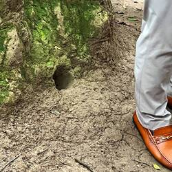 Air hole into the bunkers