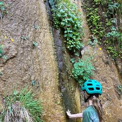 Much cooler climate where the canyon narrows and less sunlight bakes the ground