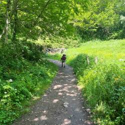 Shaded paths are a real treat