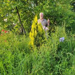 Before we started weeding...