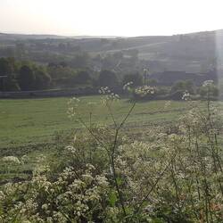 Sun coming up over the hills.