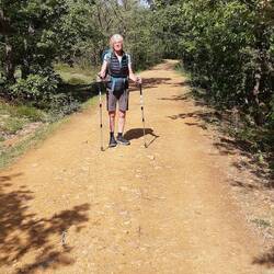 Trudy in the open oak forest