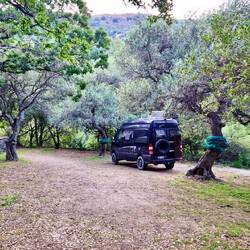 Schlafen unter 100 Jahre alten Olivenbäumen