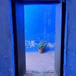 symphony in blue