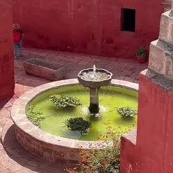 the view from the roof