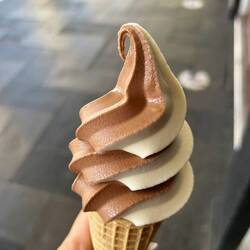 frisch aus dem Supermarkt