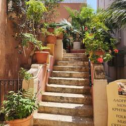 Courtyard of St. Mary's -- a little oasis off a bust street