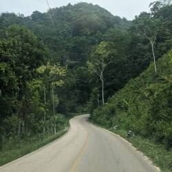 Dschungel-Hügel-Landschaft