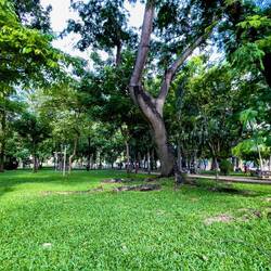23 September Park ... a green oasis — Saigon, Vietnam.