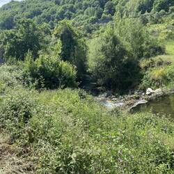 The river on my left that whispered as I walked today, reminding me to listen.