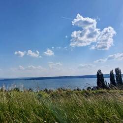 Welcome to the Floor Sea 😍