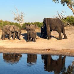 Die Versammlung. Aber keiner hört auf Omi.