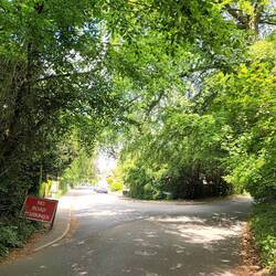 Looking down Solefields Road. Memories of Grandma Mead's annual battle with leaves