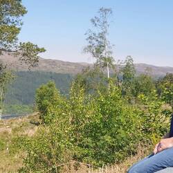 Hmmmm...auch ich sehe nix...😏