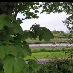 Und nun nur noch GUTE NACHT 👋😋🌈