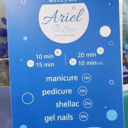 Ariel Fish Spa