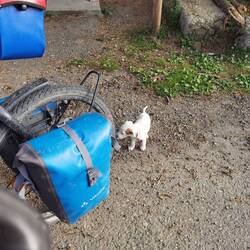 Mal wieder treffen wir auf Interessierte...