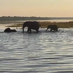 Nachtrag von gestern