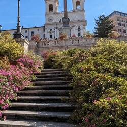 Spanish steps decorated with azaleas every April, to celebrate Rome's birthday. This year it's 2776!