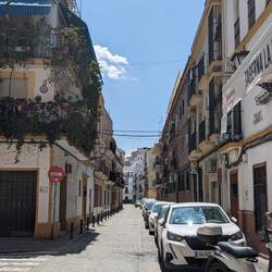 Triana
