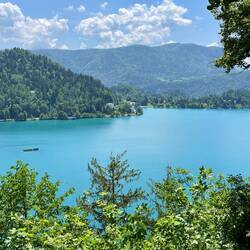 💙🧢🐬🚙🔵🌀🫐