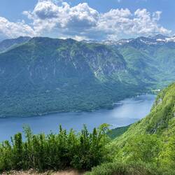 וואו וואו וואו