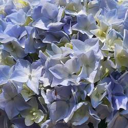 Natur ist die allerallerallerbeste Droge