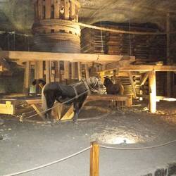 Transportspindel von Pferden angetrieben