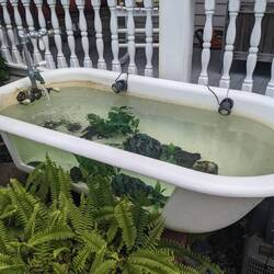 KW acquarium