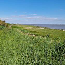 The west end of the bird sanctuary is 20-30 feet above the sea so not needing a sea wall