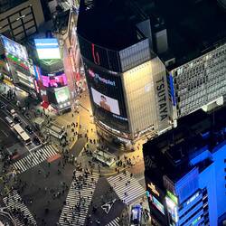 Shibuya Crossing