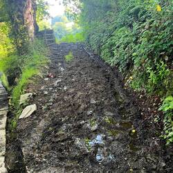 We didnt have to walk in this track