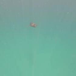 Thank you to fellow passenger Elia for this video!