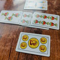 Played Spanish cards with Jared and Jules from Oz