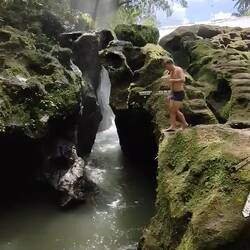 Bennys Sprung ins Ungewisse