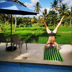 Obligatorisches Kopfstandbild