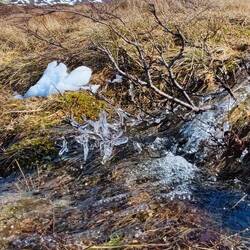 Auch die kleinen Dinge sind schön 😊