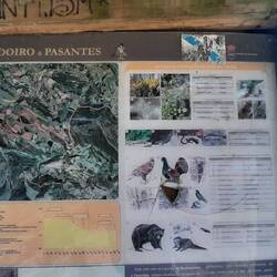 The sign says they're bears in the area