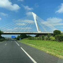 Calatrava Bridge