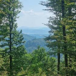 Blick von der Mettler Hütte