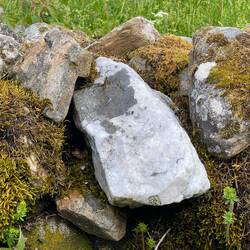 Quartz on the side of the path.