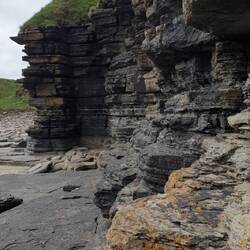 Riesige Schieferplatten UNTEN nur mit Flechten bewachsen