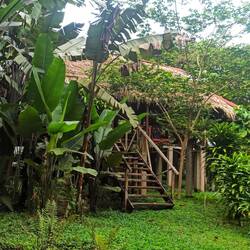 Unsere Jungle-Lodge