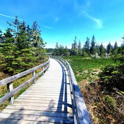 Auf Wegen des Rissel Beach Provincial Park