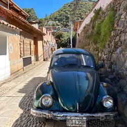 they do like VW beetle