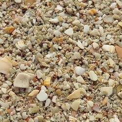 Playa Conchal piena di conchiglie