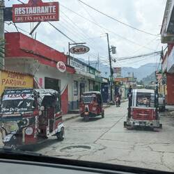 Lustig dekorierte Tuctucs 😄